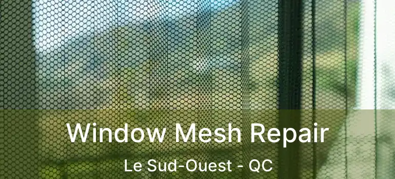  Window Mesh Repair Le Sud-Ouest - QC