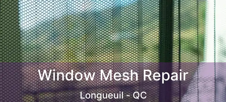 Window Mesh Repair Longueuil - QC