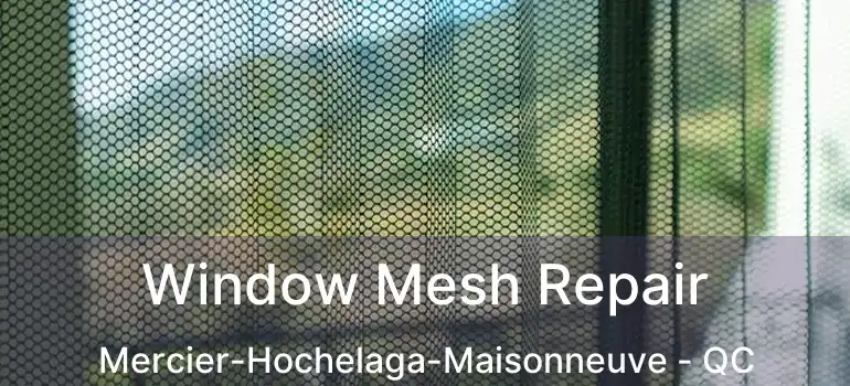  Window Mesh Repair Mercier-Hochelaga-Maisonneuve - QC