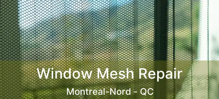  Window Mesh Repair Montreal-Nord - QC