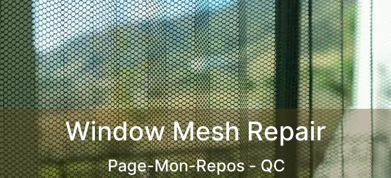  Window Mesh Repair Page-Mon-Repos - QC