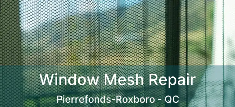  Window Mesh Repair Pierrefonds-Roxboro - QC