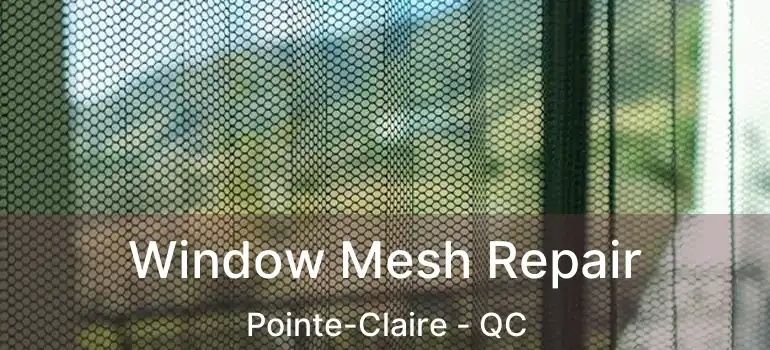  Window Mesh Repair Pointe-Claire - QC