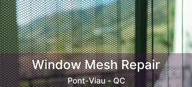  Window Mesh Repair Pont-Viau - QC