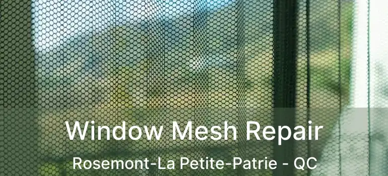 Window Mesh Repair Rosemont-La Petite-Patrie - QC