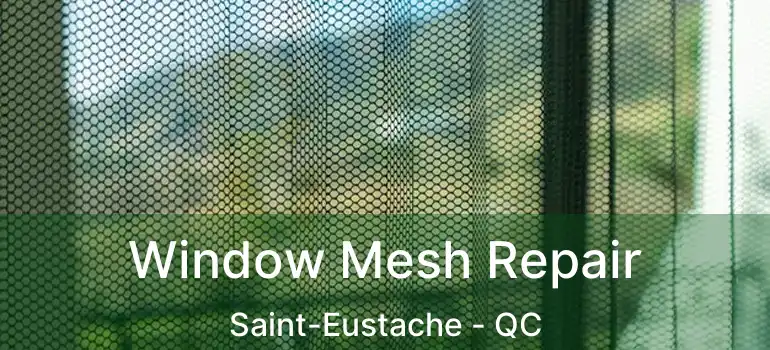  Window Mesh Repair Saint-Eustache - QC