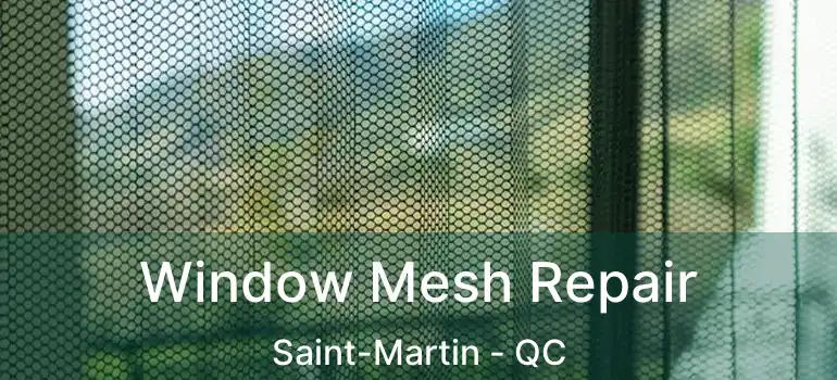  Window Mesh Repair Saint-Martin - QC