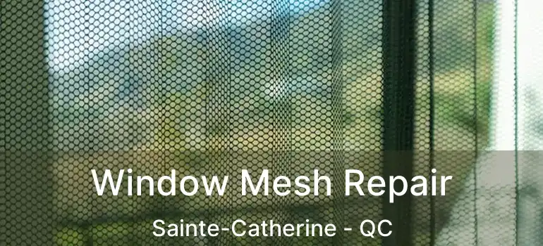  Window Mesh Repair Sainte-Catherine - QC