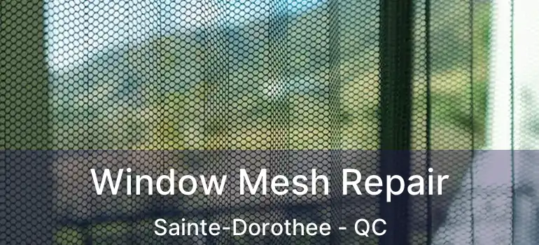  Window Mesh Repair Sainte-Dorothee - QC