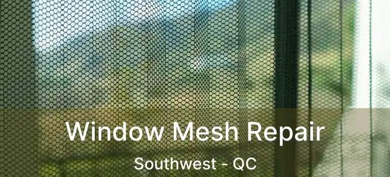  Window Mesh Repair Southwest - QC