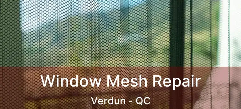  Window Mesh Repair Verdun - QC