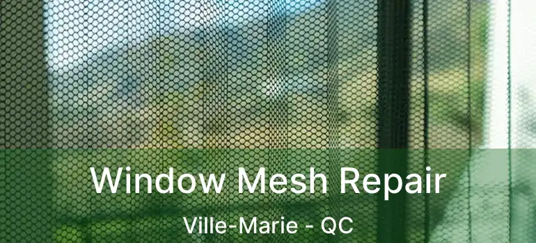 Window Mesh Repair Ville-Marie - QC