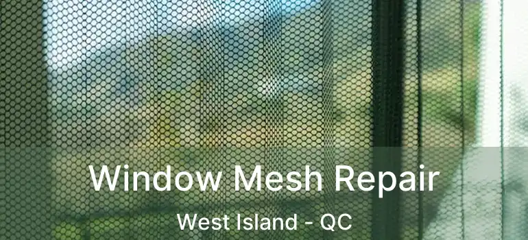  Window Mesh Repair West Island - QC