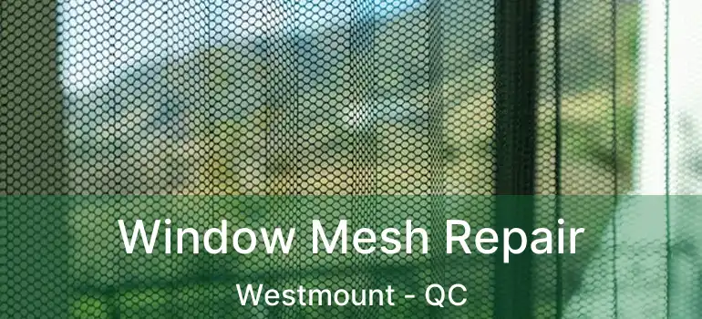  Window Mesh Repair Westmount - QC