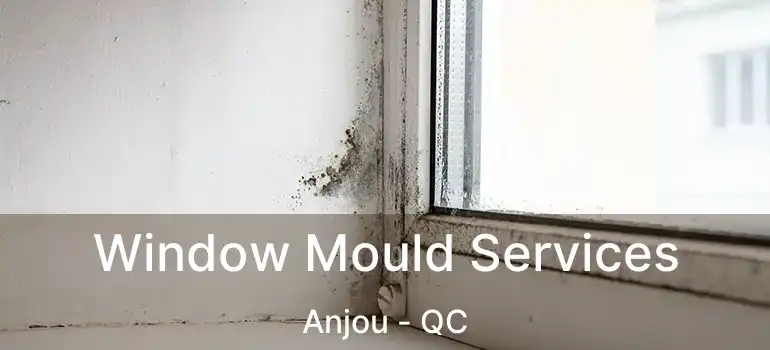  Window Mould Services Anjou - QC