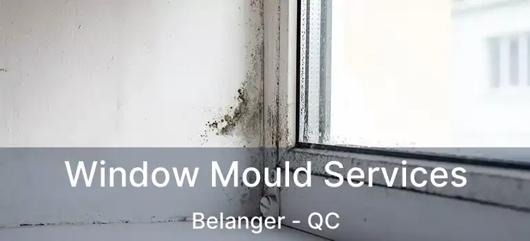  Window Mould Services Belanger - QC