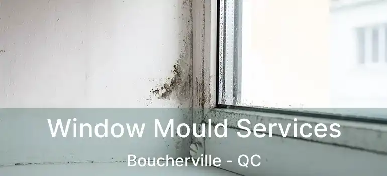  Window Mould Services Boucherville - QC