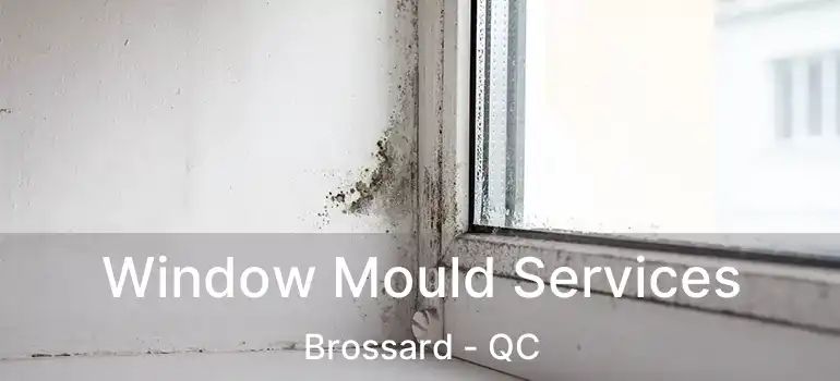  Window Mould Services Brossard - QC