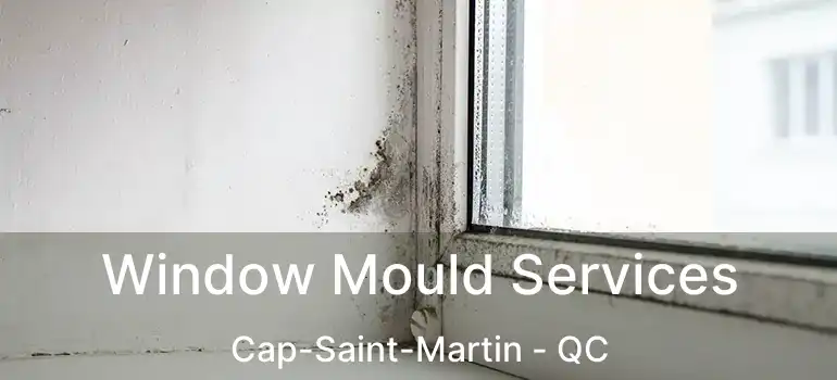  Window Mould Services Cap-Saint-Martin - QC