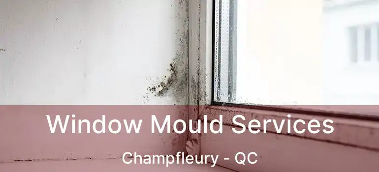  Window Mould Services Champfleury - QC