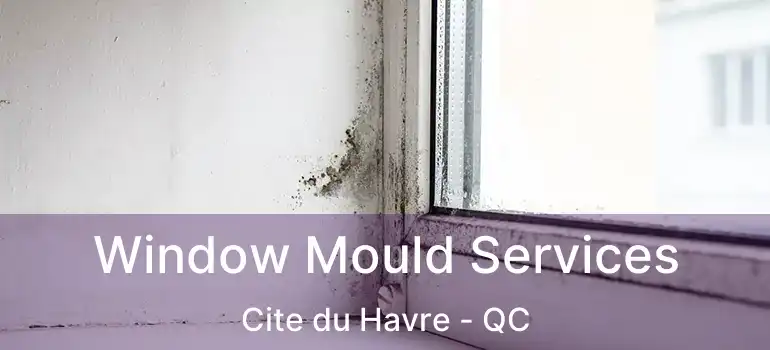  Window Mould Services Cite du Havre - QC