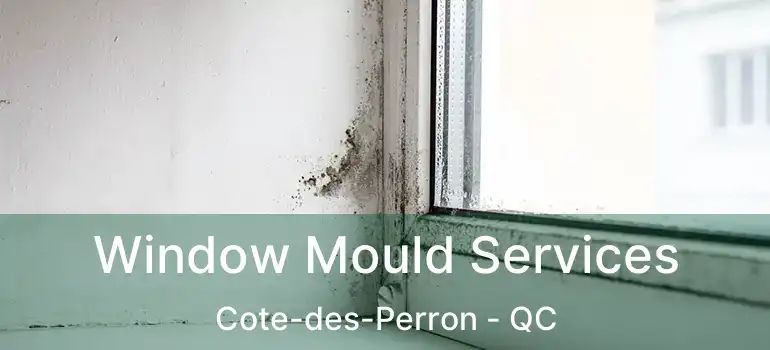  Window Mould Services Cote-des-Perron - QC