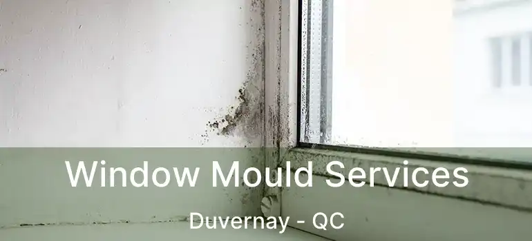  Window Mould Services Duvernay - QC