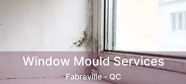  Window Mould Services Fabreville - QC