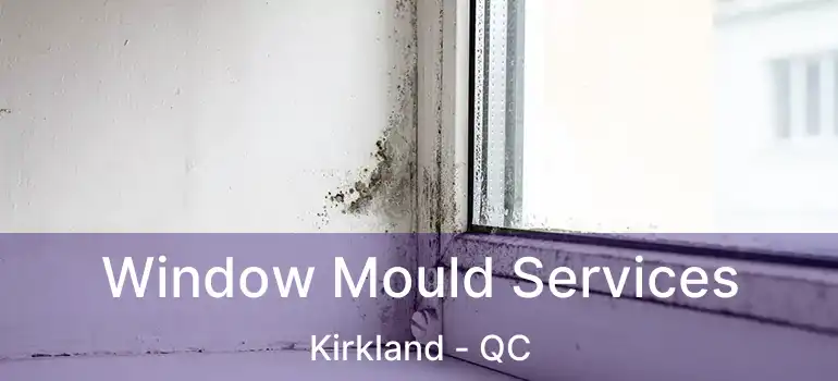  Window Mould Services Kirkland - QC