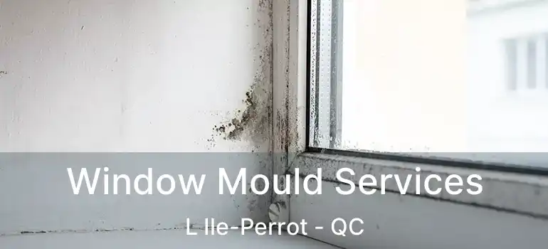  Window Mould Services L Ile-Perrot - QC