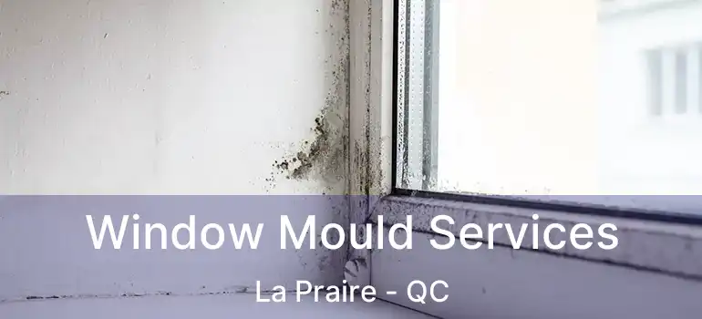  Window Mould Services La Praire - QC