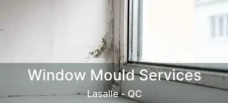  Window Mould Services Lasalle - QC