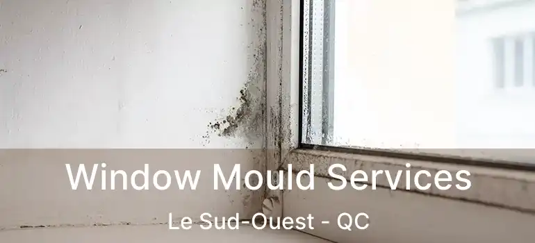  Window Mould Services Le Sud-Ouest - QC