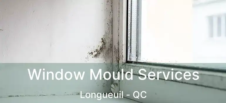  Window Mould Services Longueuil - QC