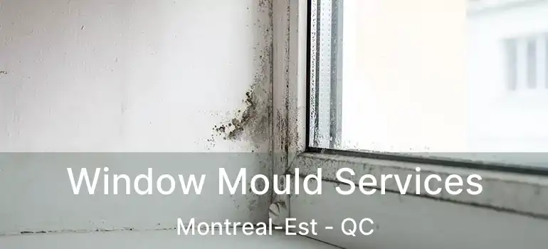  Window Mould Services Montreal-Est - QC