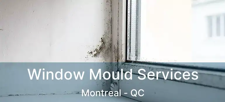  Window Mould Services Montreal - QC