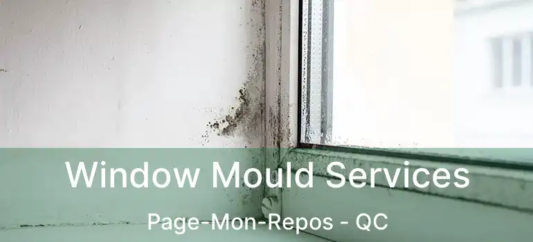  Window Mould Services Page-Mon-Repos - QC