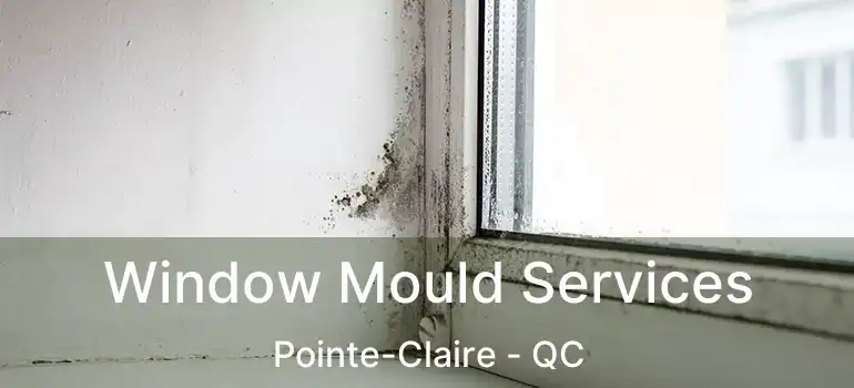  Window Mould Services Pointe-Claire - QC