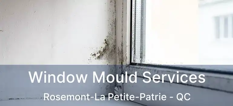  Window Mould Services Rosemont-La Petite-Patrie - QC