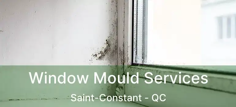  Window Mould Services Saint-Constant - QC
