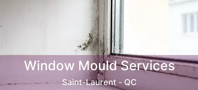  Window Mould Services Saint-Laurent - QC
