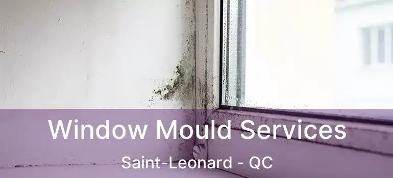  Window Mould Services Saint-Leonard - QC