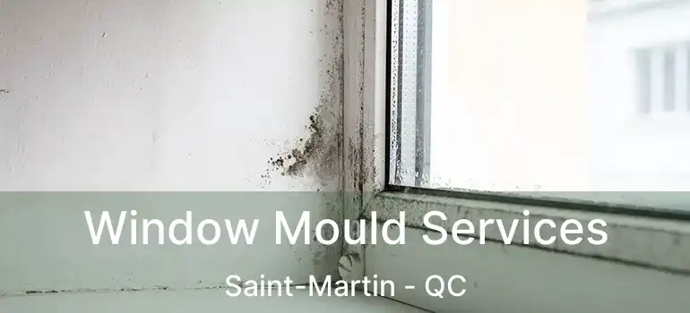  Window Mould Services Saint-Martin - QC