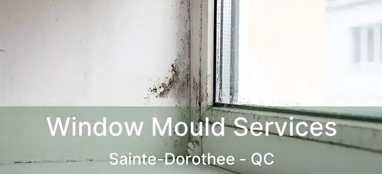  Window Mould Services Sainte-Dorothee - QC