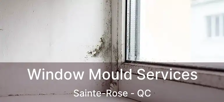  Window Mould Services Sainte-Rose - QC