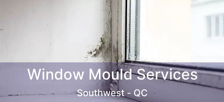  Window Mould Services Southwest - QC