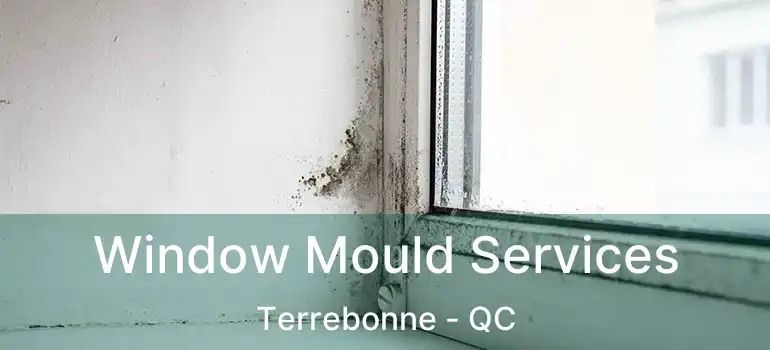  Window Mould Services Terrebonne - QC