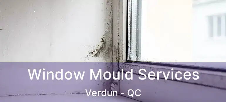  Window Mould Services Verdun - QC