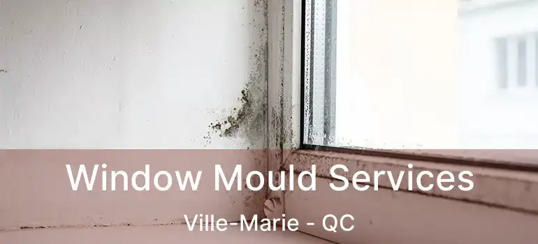  Window Mould Services Ville-Marie - QC
