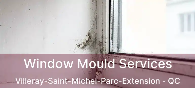  Window Mould Services Villeray-Saint-Michel-Parc-Extension - QC